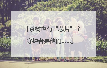 茶树也有“芯片”？守护者是他们……