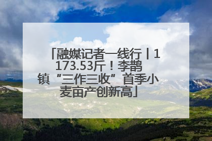 融媒记者一线行丨1173.53斤！李鹊镇“三作三收”首季小麦亩产创新高