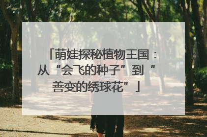 萌娃探秘植物王国：从“会飞的种子”到“善变的绣球花”