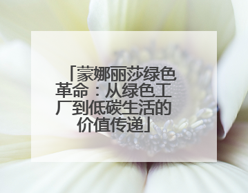 蒙娜丽莎绿色革命：从绿色工厂到低碳生活的价值传递