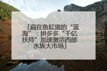 藏在鱼缸里的“蓝海”：拼多多“千亿扶持”加速激活西部水族大市场