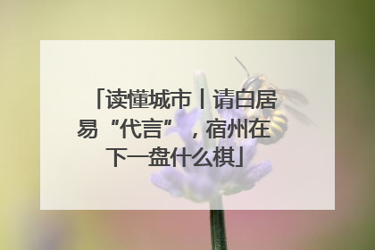 读懂城市丨请白居易“代言”，宿州在下一盘什么棋