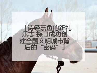 诗经嘉鱼的新礼乐志 探寻成功创建全国文明城市背后的“密码”