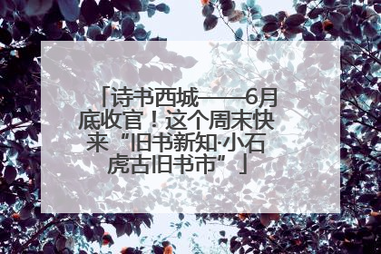 诗书西城——6月底收官！这个周末快来“旧书新知·小石虎古旧书市”