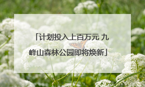计划投入上百万元 九峰山森林公园即将焕新