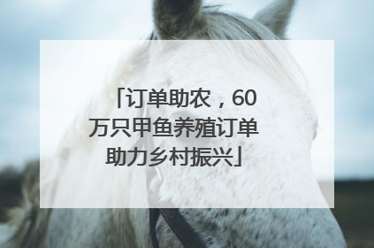 订单助农，60万只甲鱼养殖订单助力乡村振兴