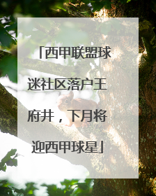 西甲联盟球迷社区落户王府井，下月将迎西甲球星