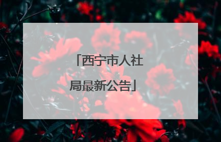 西宁市人社局最新公告
