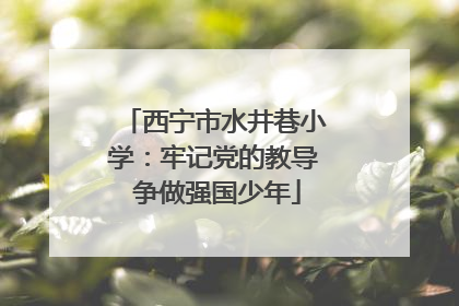 西宁市水井巷小学：牢记党的教导 争做强国少年