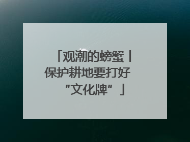 观潮的螃蟹丨保护耕地要打好“文化牌”