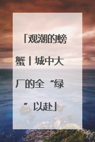 观潮的螃蟹丨城中大厂的全“绿”以赴