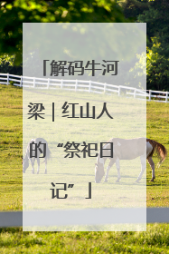 解码牛河梁｜红山人的“祭祀日记”