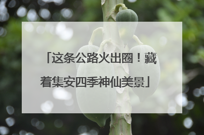 这条公路火出圈！藏着集安四季神仙美景