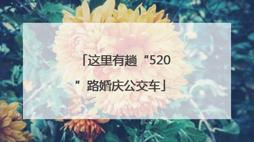 这里有趟“520”路婚庆公交车