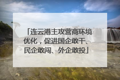 连云港主攻营商环境优化，促进国企敢干、民企敢闯、外企敢投
