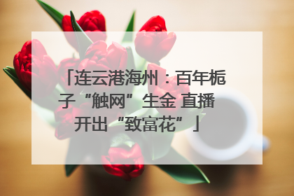 连云港海州：百年栀子“触网”生金 直播开出“致富花”