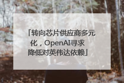 转向芯片供应商多元化，OpenAI寻求降低对英伟达依赖