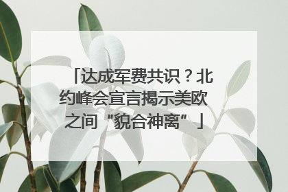 达成军费共识？北约峰会宣言揭示美欧之间“貌合神离”