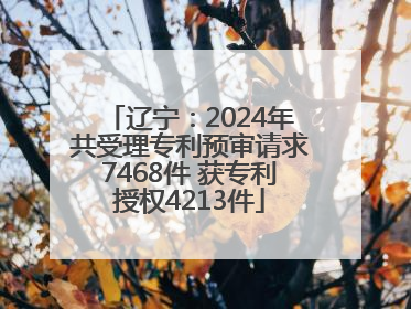 辽宁：2024年共受理专利预审请求7468件 获专利授权4213件
