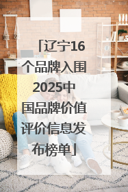 辽宁16个品牌入围2025中国品牌价值评价信息发布榜单