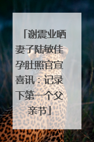 谢震业晒妻子陆敏佳孕肚照官宣喜讯：记录下第一个父亲节