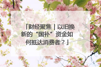 财经聚焦｜以旧换新的“国补”资金如何抵达消费者？