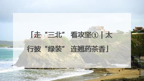 走“三北” 看攻坚①｜太行披“绿装” 连翘药茶香