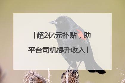 超2亿元补贴，助平台司机提升收入