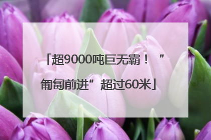 超9000吨巨无霸！“匍匐前进”超过60米