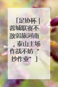 足协杯｜蓉城联赛不敌弱旅河南，泰山主场作战不妨“抄作业”