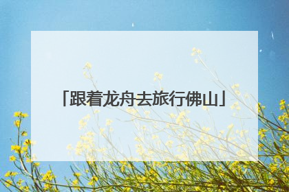 跟着龙舟去旅行佛山