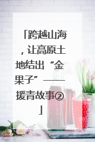 跨越山海，让高原土地结出“金果子”——援青故事②