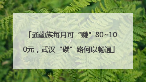 通勤族每月可“赚”80~100元，武汉“碳”路何以畅通