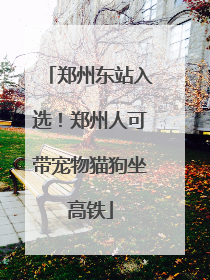 郑州东站入选！郑州人可带宠物猫狗坐高铁