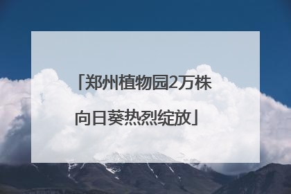 郑州植物园2万株向日葵热烈绽放
