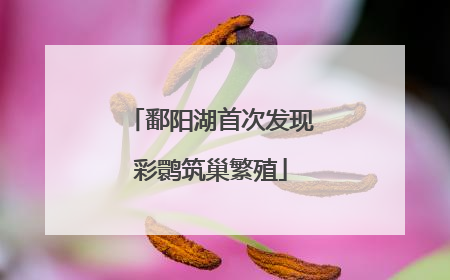 鄱阳湖首次发现彩鹮筑巢繁殖