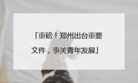 重磅！郑州出台重要文件，事关青年发展