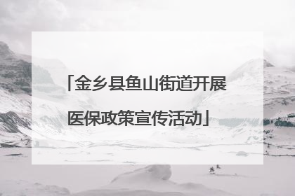 金乡县鱼山街道开展医保政策宣传活动