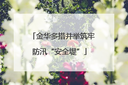 金华多措并举筑牢防汛“安全堤”