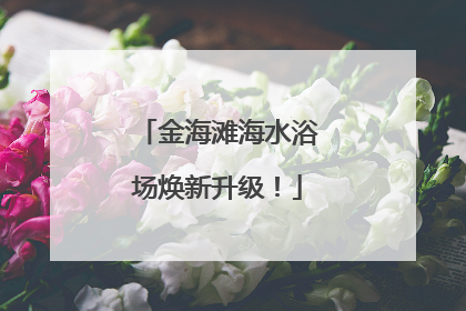 金海滩海水浴场焕新升级！