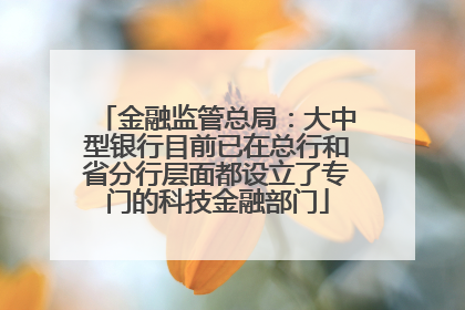 金融监管总局：大中型银行目前已在总行和省分行层面都设立了专门的科技金融部门