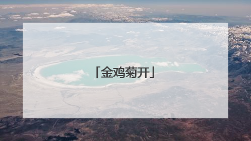 金鸡菊开