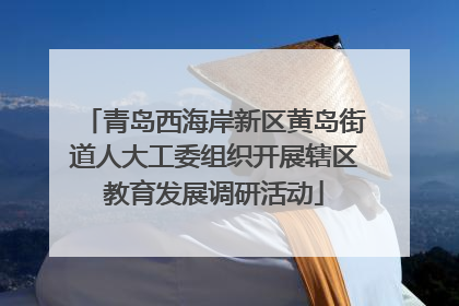 青岛西海岸新区黄岛街道人大工委组织开展辖区教育发展调研活动
