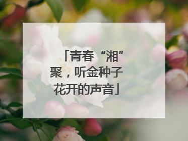 青春“湘”聚，听金种子花开的声音