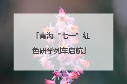 青海“七一”红色研学列车启航