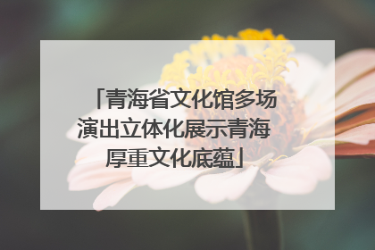 青海省文化馆多场演出立体化展示青海厚重文化底蕴