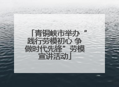 青铜峡市举办“践行劳模初心 争做时代先锋”劳模宣讲活动