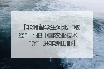 非洲留学生河北“取经”：把中国农业技术“译”进非洲田野