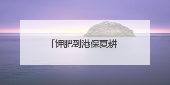 钾肥到港保夏耕 边检高效助通关