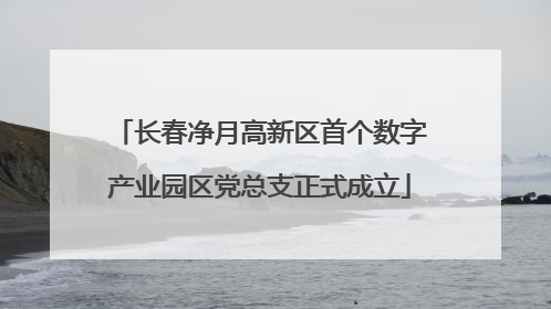 长春净月高新区首个数字产业园区党总支正式成立